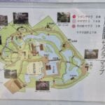 img-306