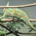 img-359