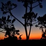 Azure Window Gozo Sonnenuntergang