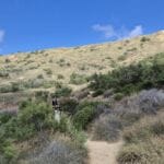 Naturfotografie Malta