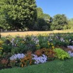 hyde park familie in london