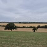 img-84