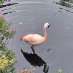 img-97