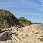 west mersea beach