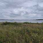 img-183