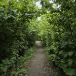 img-186