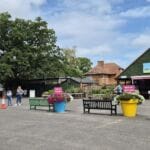 kent mit kindern cots rare breeds centre