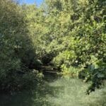 img-180