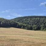 südengland devon familienreise