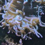 img-185