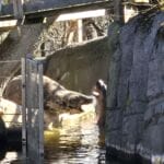 img-75